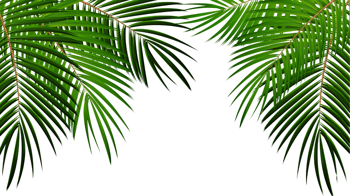 Leaves Top